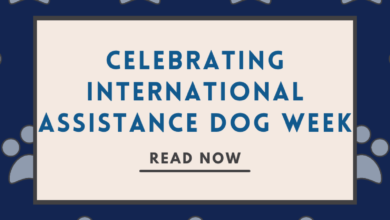 Celebrating international assistance dog week