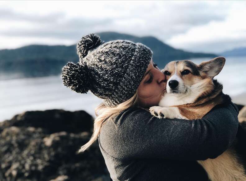 1640935110 801 el adorable corgi ve a un hombre en el aeropuerto