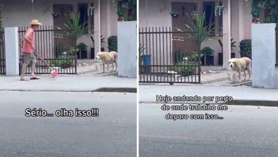 Se graba al perro llevando un balde para ayudar al