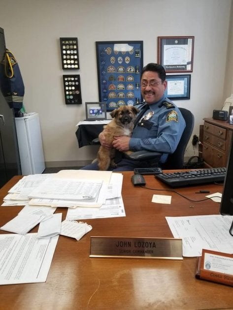 1641147919 7 el departamento de policia contrata a un adorable cachorro de