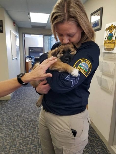 1641147919 967 el departamento de policia contrata a un adorable cachorro de