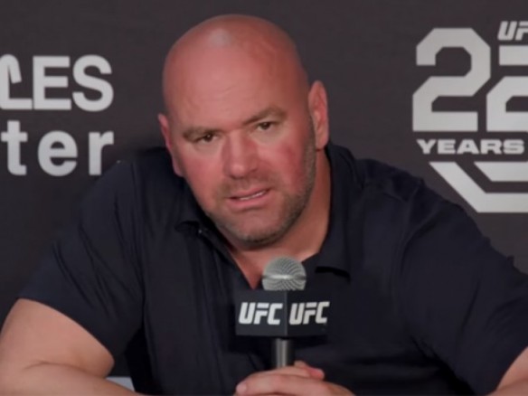 Dana white responde a jake paul nadie creeria que escribiste