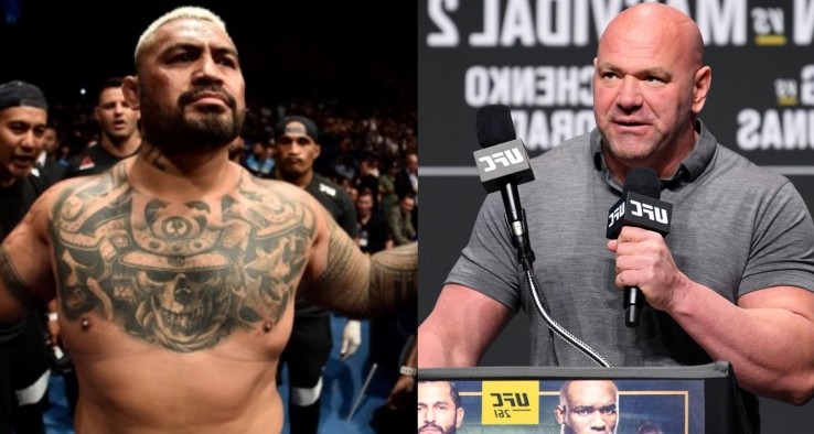 Dana white responde a la invitacion a pelear de mark