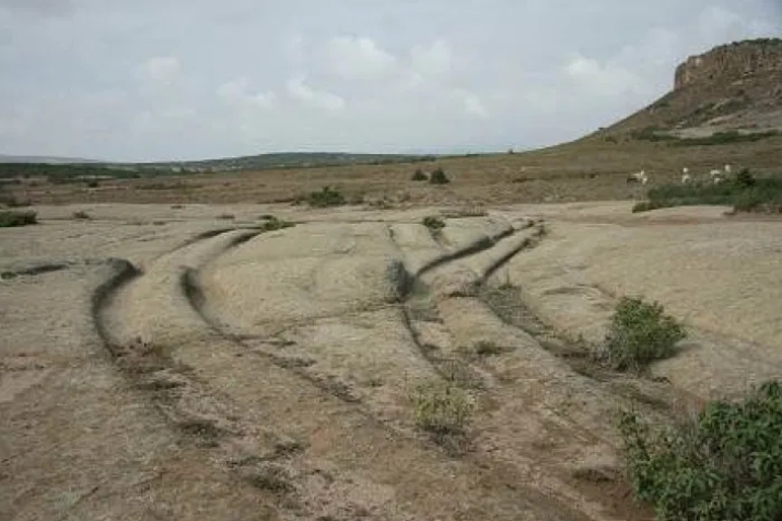 Huellas de vehiculos de 12 millones de anos descubiertas en