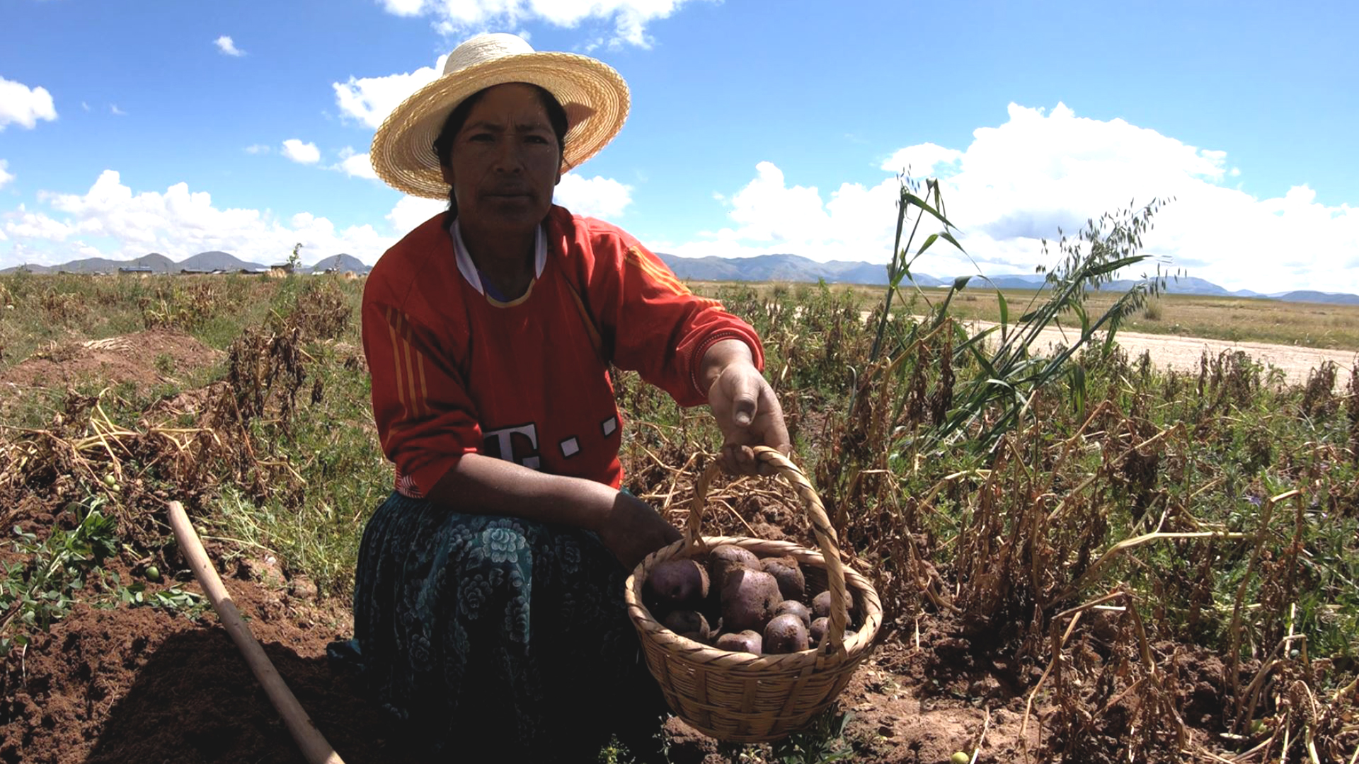 Productores agrarios de Puno