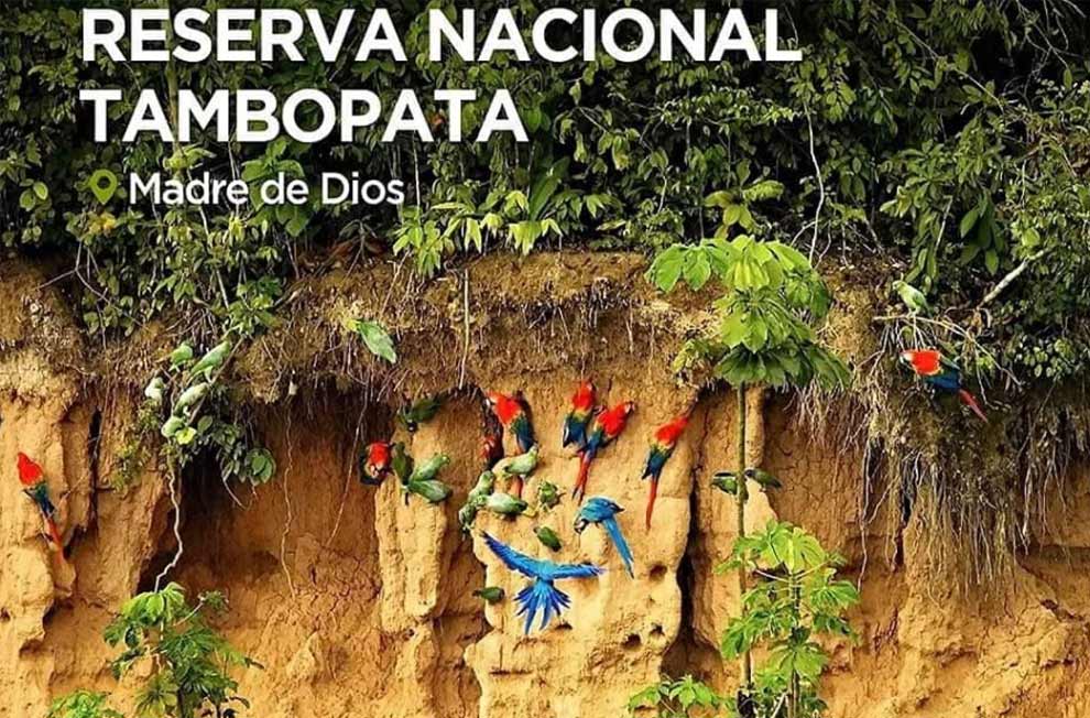 Reserva Nacional Tambopata Enamorate de esta rama del Eden en