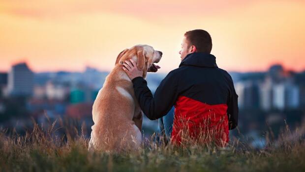 Los perros aumentan la vitalidad