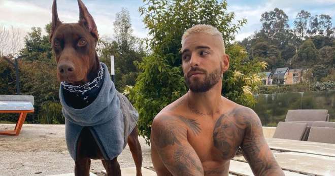 1645749381 255 maluma dijo que su perro lo ataco dejandole cicatrices en