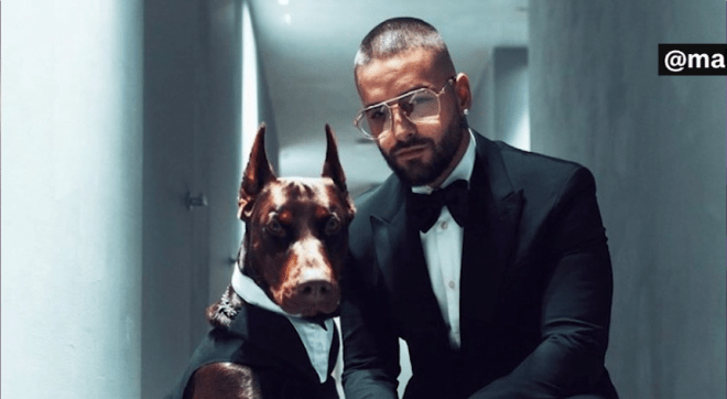 1645749381 589 maluma dijo que su perro lo ataco dejandole cicatrices en