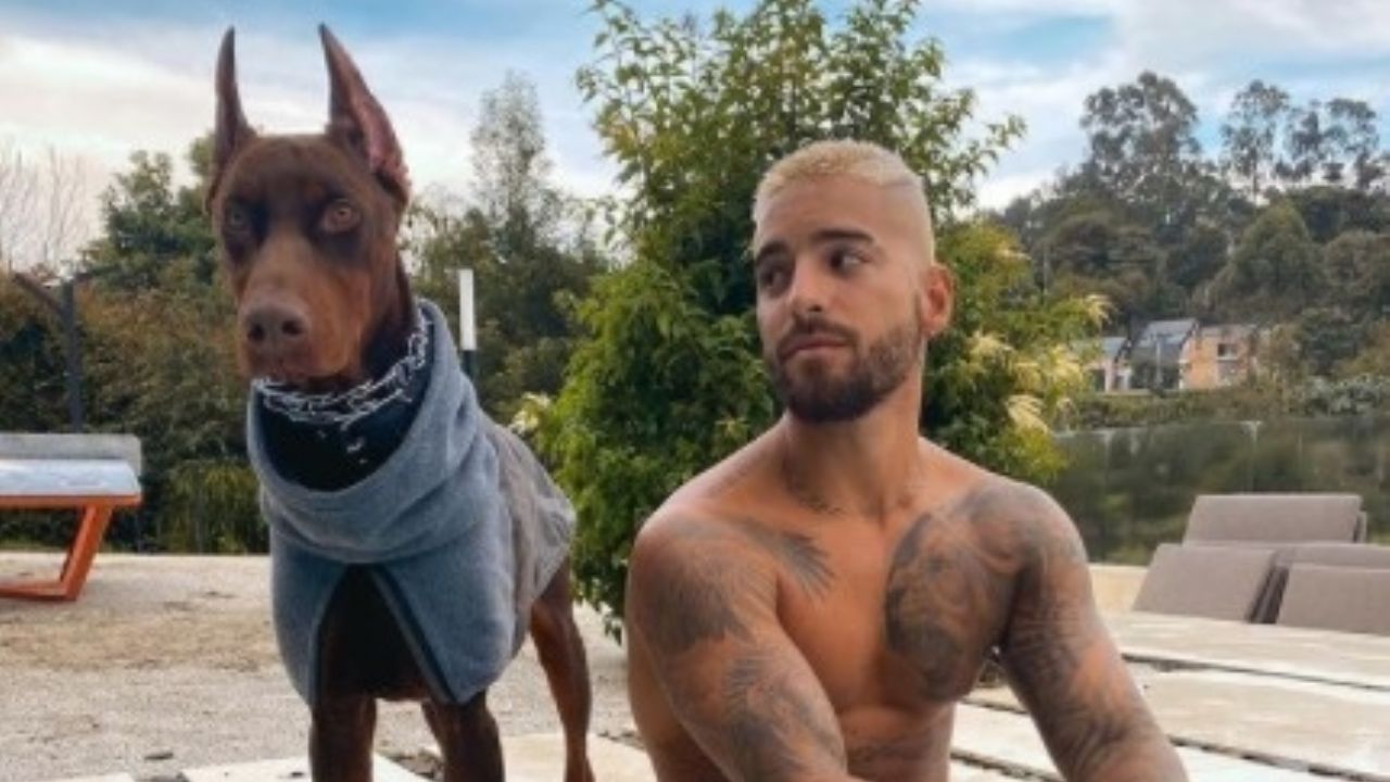 1645749381 Maluma dijo que su perro lo ataco dejandole cicatrices en