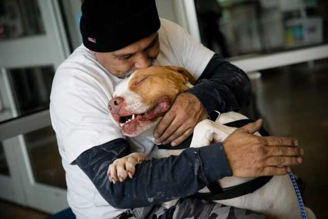 Hombre cumple promesa de adoptar perro que tuvo que abandonar