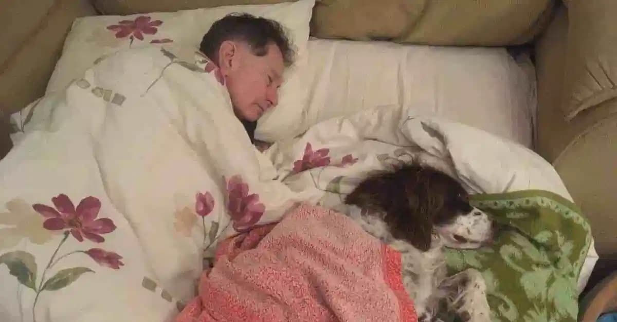 La familia se turna para dormir abajo con un perro