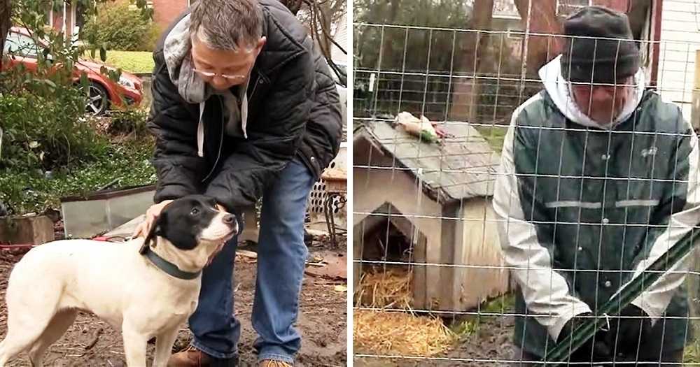 1646183065 530 los perros que permanecen encadenados en un ambiente helado prueban