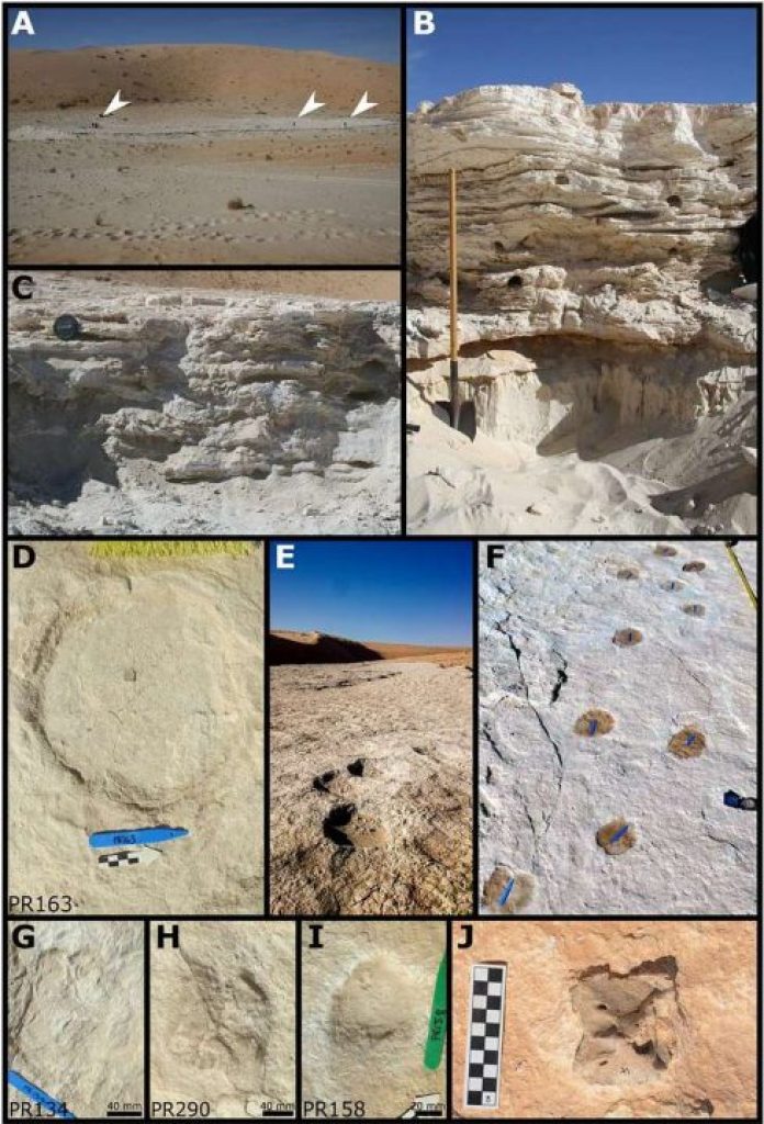 1646422344 56 huellas humanas de 120000 anos descubiertas recientemente en arabia saudita