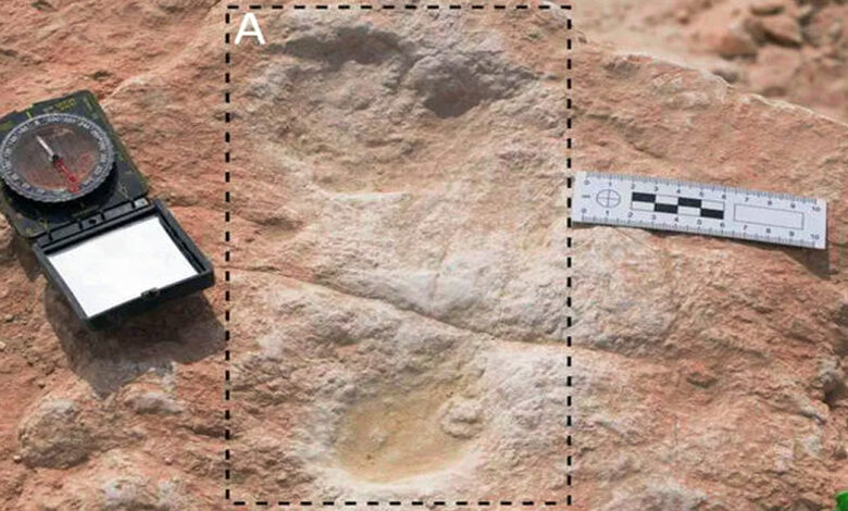 1646422344 huellas humanas de 120000 anos descubiertas recientemente en arabia saudita