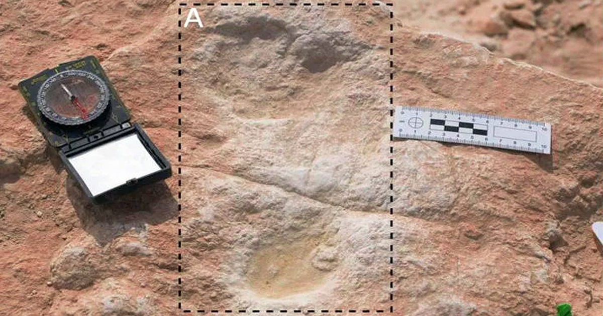 1646422344 Huellas humanas de 120000 anos descubiertas recientemente en Arabia Saudita