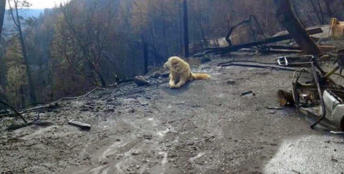 1646701965 619 la familia regresa a casa un mes despues del incendio