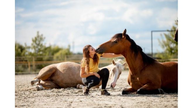 1647392524 141 mujer escapa de la guerra con once caballos