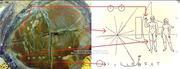 1648757447 903 artefactos misteriosos y antiguos prueban la existencia de dioses