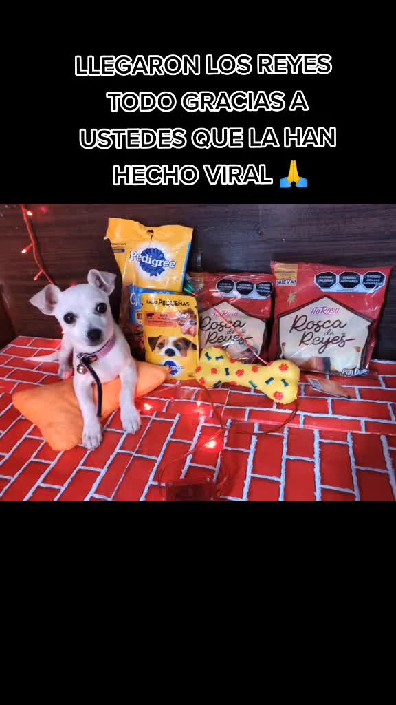 Descubre los videos populares de jess_hernandez02 | tic tac