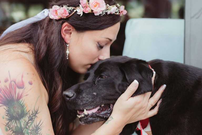 1649307864 453 el perro moribundo de la novia fue llevado al altar