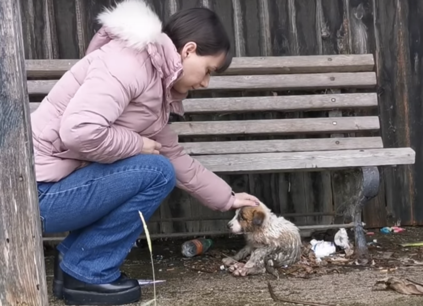 1649567366 286 mujer contiene sollozos mientras agarra a un perro cubierto de