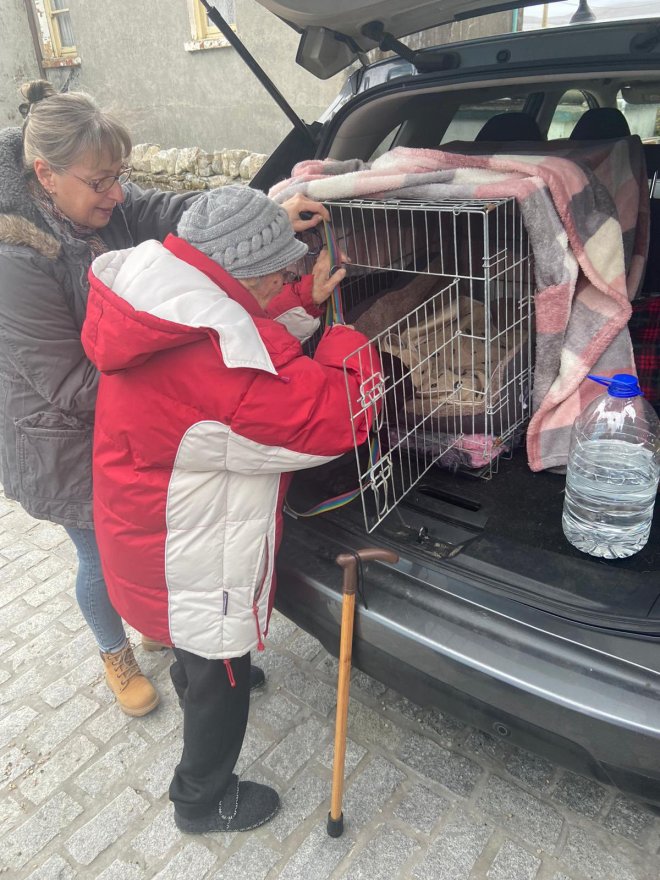 1650384036 319 abuela se reencuentra con su perro tras huir de su