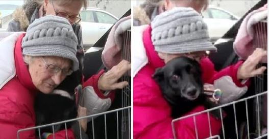 1650384037 abuela se reencuentra con su perro tras huir de su