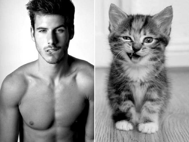 1651335871 146 ¿Quien lo hace mejor ¡34 modelos masculinos contra gatos