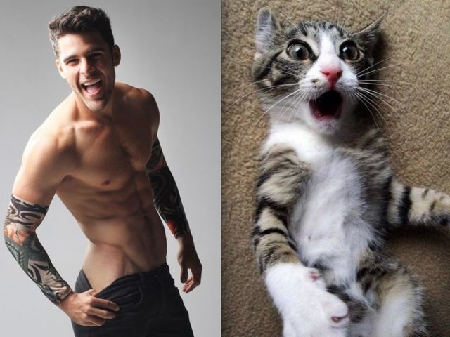 1651335871 352 ¿Quien lo hace mejor ¡34 modelos masculinos contra gatos