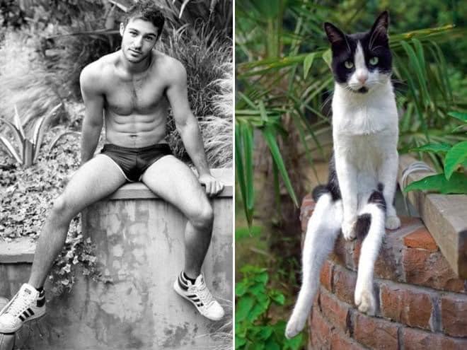 1651335871 470 ¿Quien lo hace mejor ¡34 modelos masculinos contra gatos