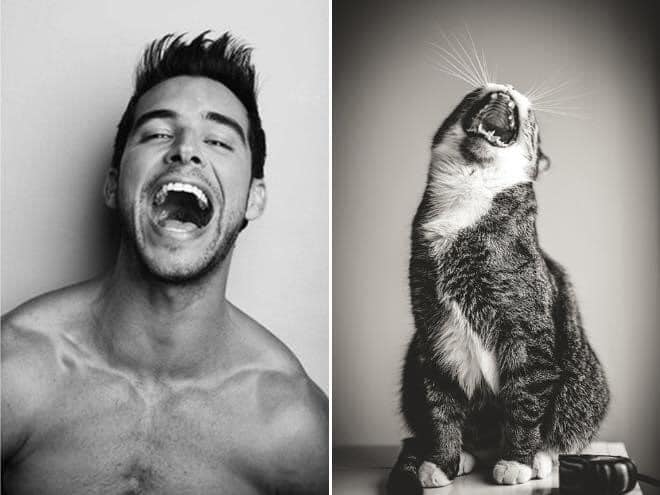 1651335871 479 ¿Quien lo hace mejor ¡34 modelos masculinos contra gatos