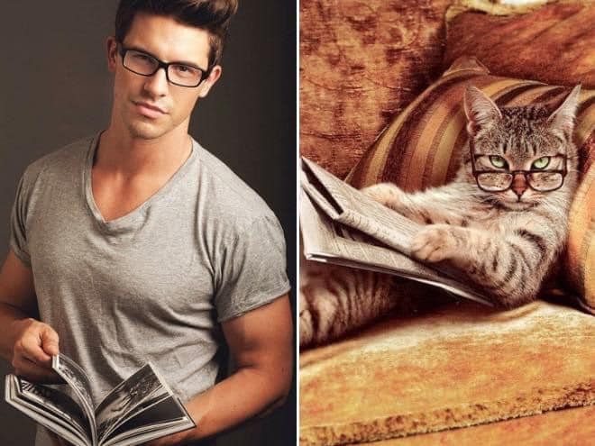 1651335871 665 ¿Quien lo hace mejor ¡34 modelos masculinos contra gatos