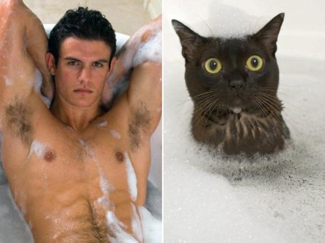 1651335871 777 ¿Quien lo hace mejor ¡34 modelos masculinos contra gatos