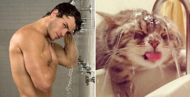 1651335871 845 ¿Quien lo hace mejor ¡34 modelos masculinos contra gatos