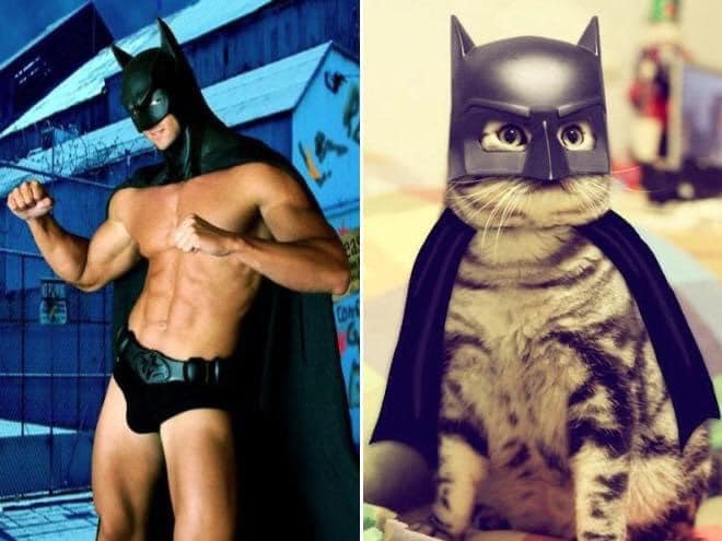 1651335871 886 ¿Quien lo hace mejor ¡34 modelos masculinos contra gatos