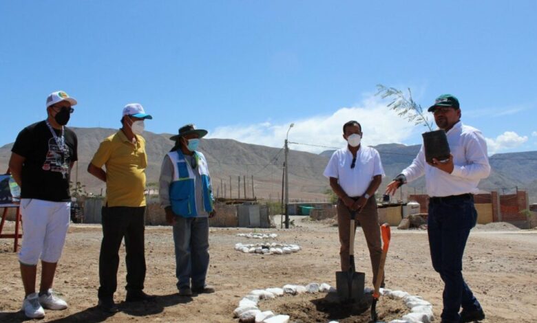 Arequipa celebra por primera vez el dia del huarango