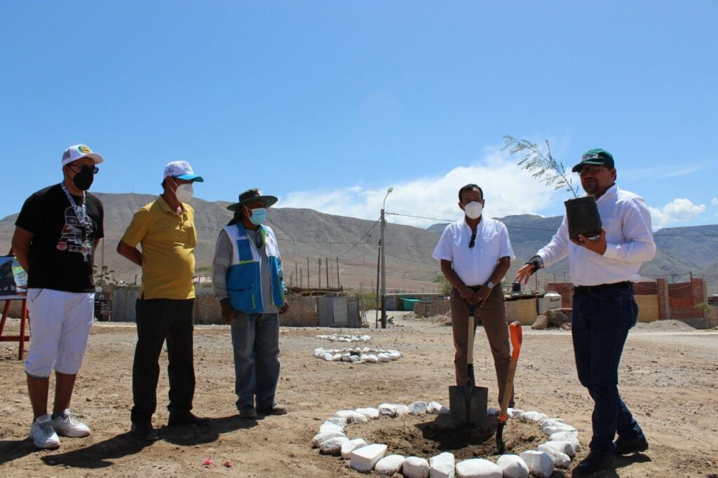 Arequipa celebra por primera vez el dia del huarango