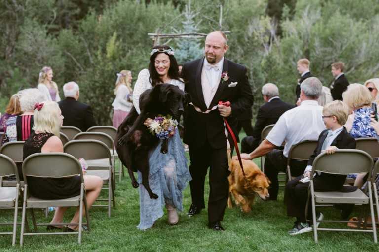 El perro moribundo de la novia fue llevado al altar