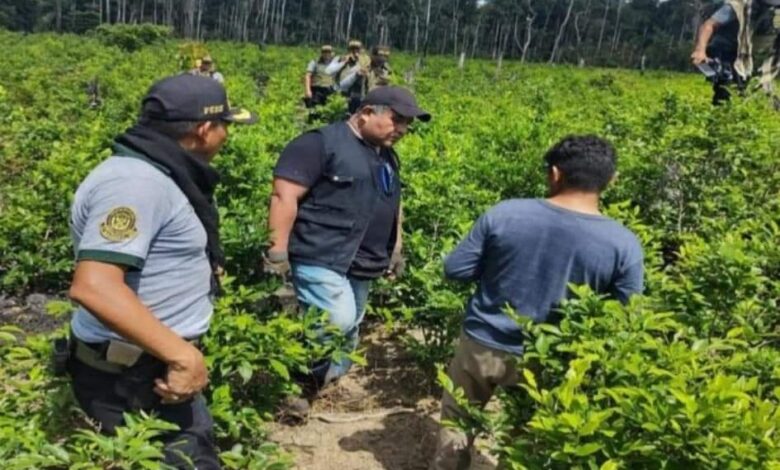 Policia destruye laboratorio secreto de drogas y arresta a 10