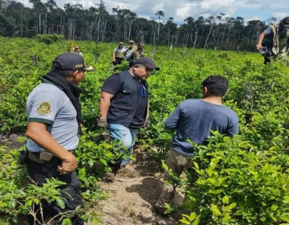 Policia destruye laboratorio secreto de drogas y arresta a 10