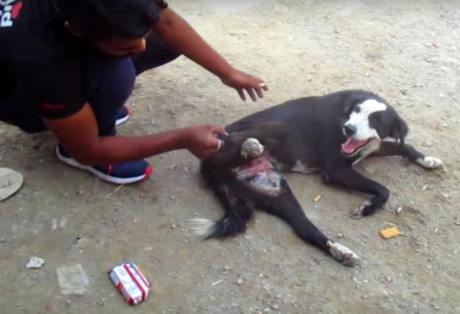 1651681546 696 ella cubre su dolor con una sonrisa que el puede