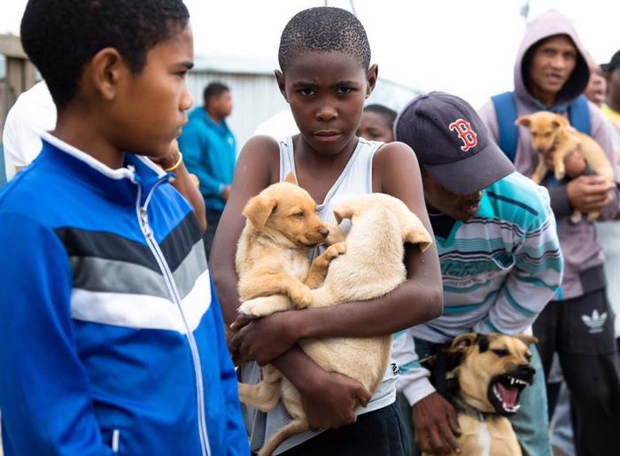 1652200416 159 nino camina 2 millas solo para salvar a un cachorro