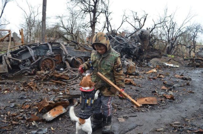 1652287192 338 patron el perro detector de bombas consolida su condicion de