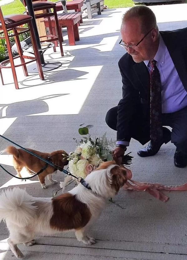 1652839428 843 cachorro insiste en detenerse y oler cada flor que ve