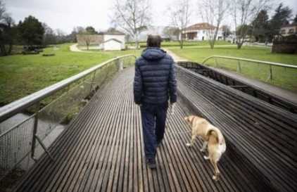 Un vagabundo enfermo se niega a cambiar a su perro