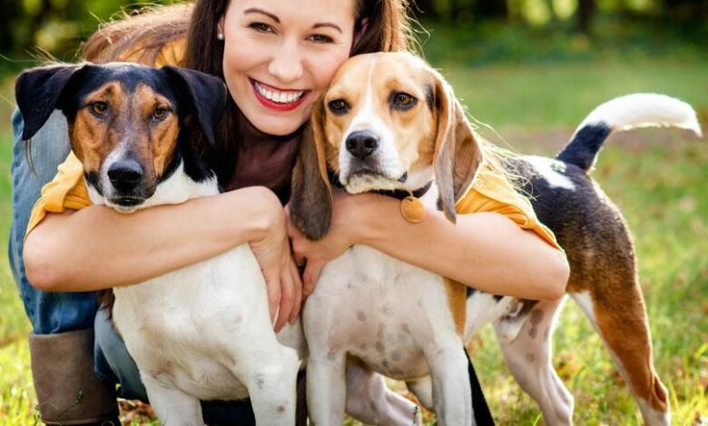 1655001140 los perros pueden leer las emociones de sus duenos