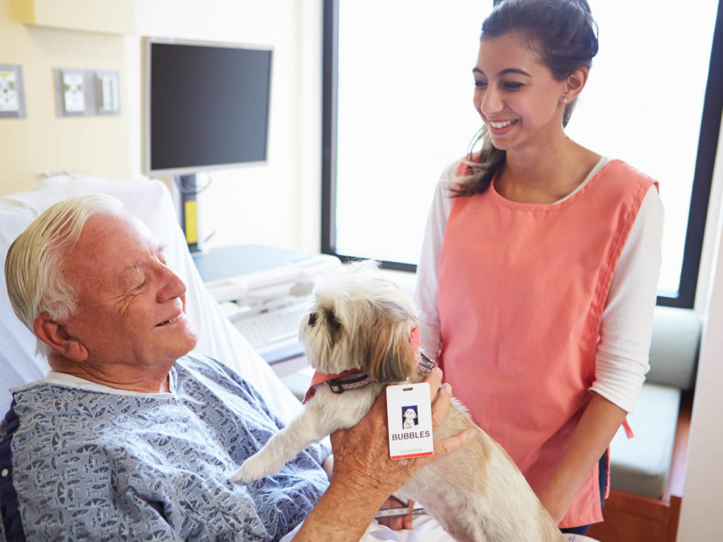 1655433692 Terapia con mascotas como las mascotas mejoran el bienestar humano