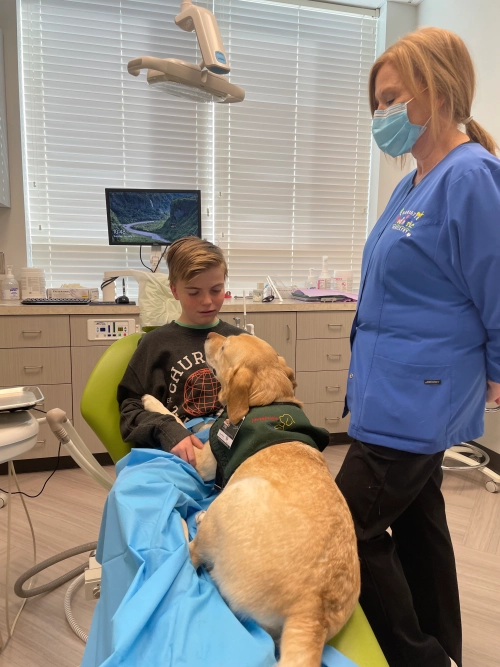 Carolina del norte regula los perros en la odontologia. Webp