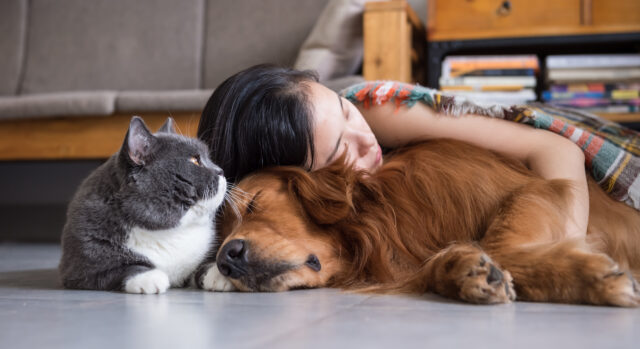 Los perros pueden leer las emociones de sus duenos